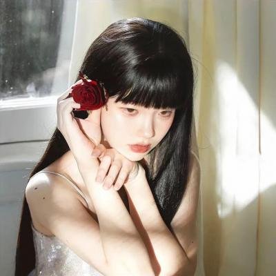 万物生灵:2024圣诞特别集